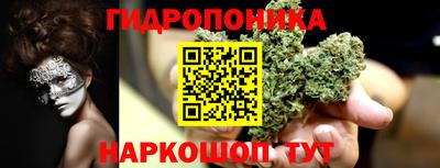 гидропоника Гусиноозёрск